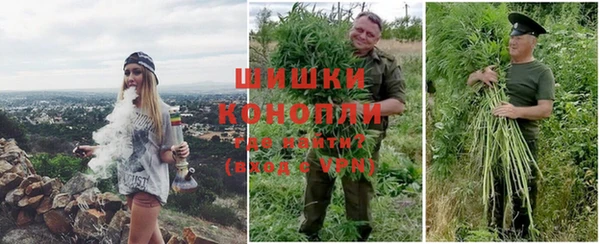 хмурый Липки