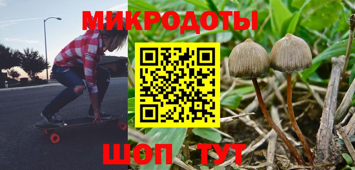 Каменск-Шахтинский  Псилоцибиновые грибы прущие грибы  Псилоцибиновые грибы Cubensis  Вход с VPN 