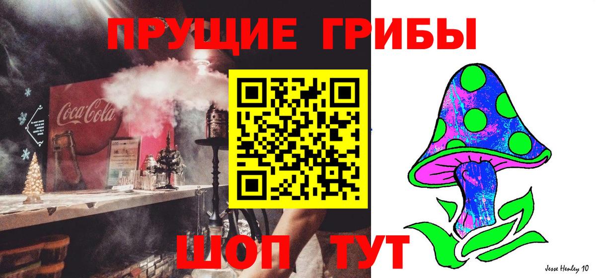 Галлюциногенные грибы GOLDEN TEACHER  Галлюциногенные грибы мухоморы  Каменск-Шахтинский 